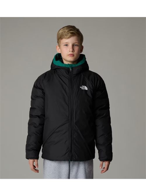 b drew peak p/o hoodie THE NORTH FACE | NF0A88TWNL11NL1